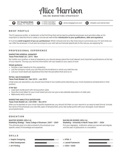 Resume Template 53