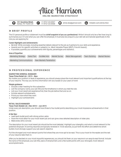 Resume Template 54