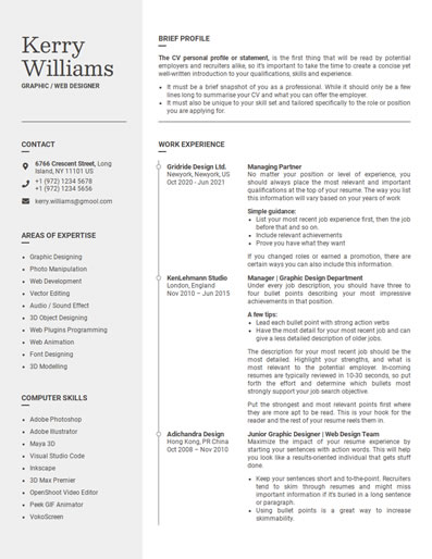 Resume Template 66